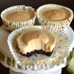 Im-Horngry:  Vegan Dulce De Leche - As Requested! Xdulce De Leche Cheesecake Bites!