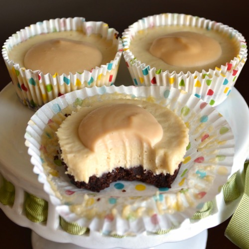 im-horngry:  Vegan Dulce de Leche - As Requested! XDulce de Leche Cheesecake Bites!