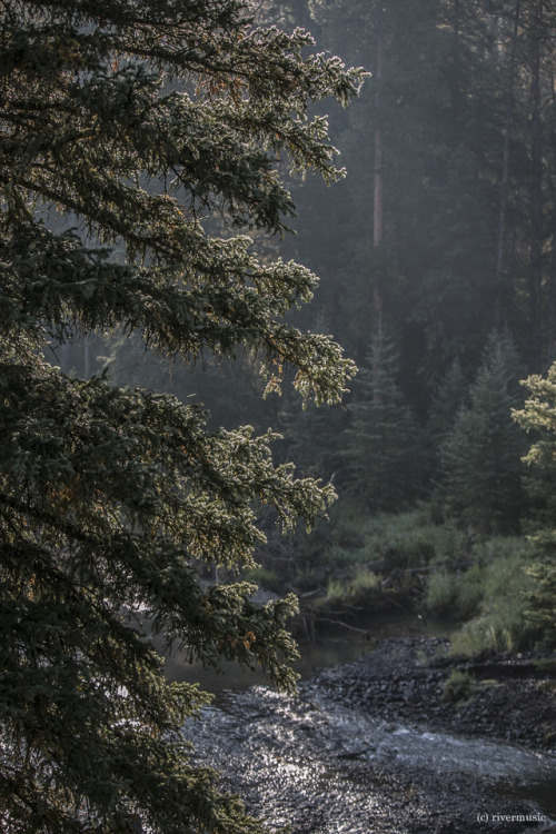 Fringe of the Forest: Soda Butte Creek at sunrise, Yellowstone National Park, Wyomingriverwindphotog