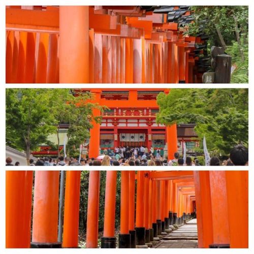 京都振り返り「赤」1 #京都 #kyoto #京都旅行 #振り返り #旅行 #旅 #緑 #自然 #瑠璃光院 #新緑 #カメラ #一眼レフ #canon #x9 #写真 #photo #photogra
