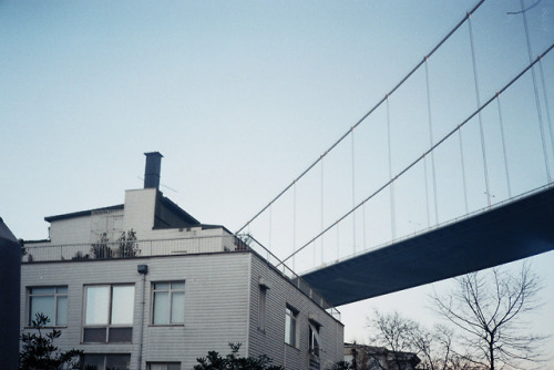 Bridge On House, 2018, Istanbul, Turkey