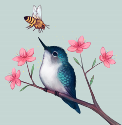 snowysaur:  bee hummingbird with bee  twitter