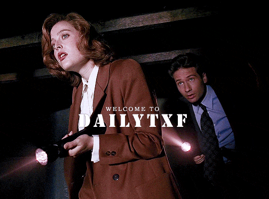 WELCOME TO DAILYTXF 👽A new source dedicated to everything THE X-FILES.Member applications are open. Apply here if interested.Tracking #dailytxf and #txfedit.Signal boosts are appreciated! #the x files #txf#txfedit#fox mulder#dana scully#msr #mulder x scully #usermulder#usermills#userdiana#userbetts#myellenficent#usercande#tusershay#xfilesnet#scifigifs#horrorgifs#intro#admin post#*