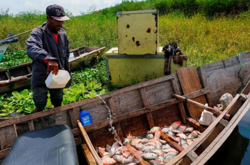 MERCURIO TÓXICO. El lago Xolotlán de Nicaragua está altamente contaminado. El X