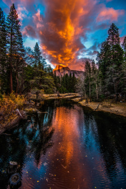 woodendreams:  (by Mark Cote)