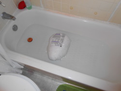 geometricdeathtrap:  I went to go take a shower and there’s a goddamn frozen turkey floating in the tub I fucking hate Thanksgiving 