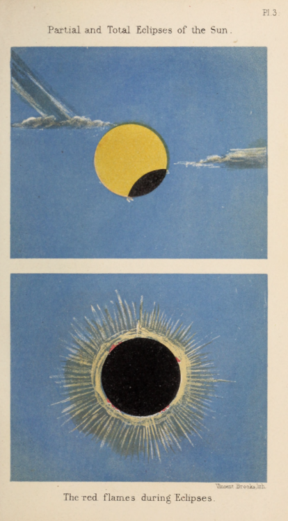 nemfrog:Plate 3. “Partial and total eclipses of the sun.” The common sights in the heavens. 1862. 