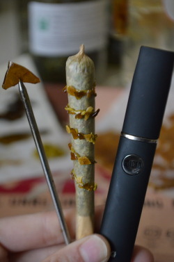 incredible-kush:  Dabs and twax doobies