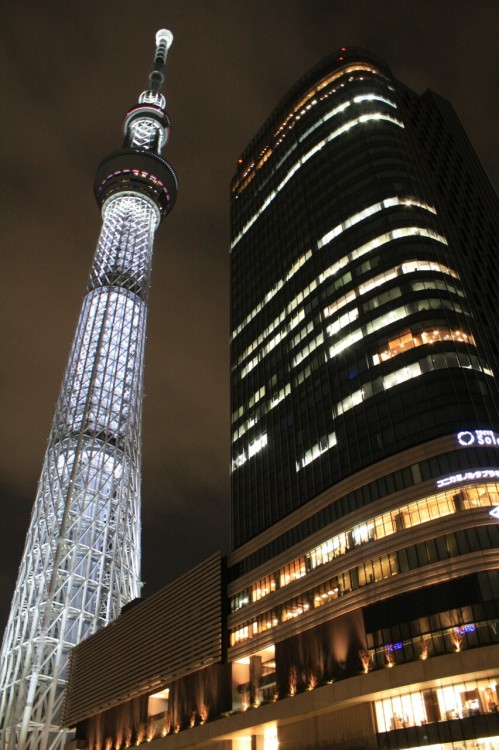 【３６６】東京の 新象徴は 春季のみ 巨大な夜の 美麗な桜