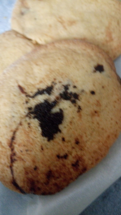 The mystery cookie challenge was&hellip; Mostly gross They were: 1: Fish food and peppermint 2: 