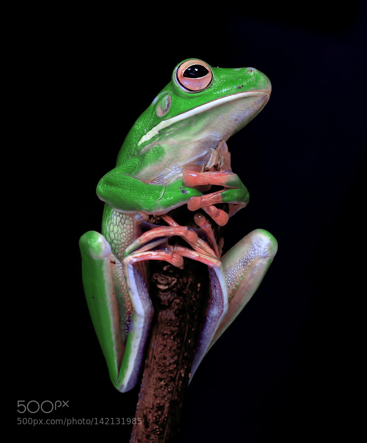 zenontheseas:  here im by RobertCinega