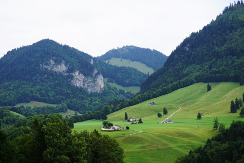 Swiss countryside #1