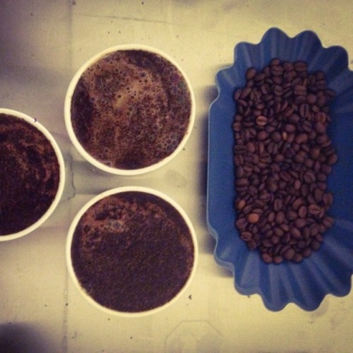 Cupping a Sample on a blend at the new roaster in Fort Lauderdale #calusacoffeeroasters #coffee #for