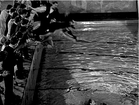 tumblr_mxl6lo2j411rhp4nco6_500.gifv