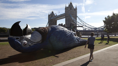 blondebrainpower:  London Celebrated the 2014 Monty Python Reunion by Putting a 50 Foot Dead Parrot in Potters Field Park