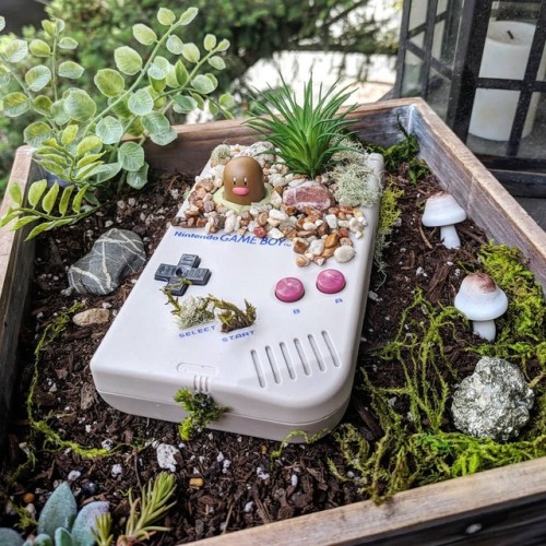 retrogamingblog:Gameboy Pokemon Terrariums made by WakuWakuIsland