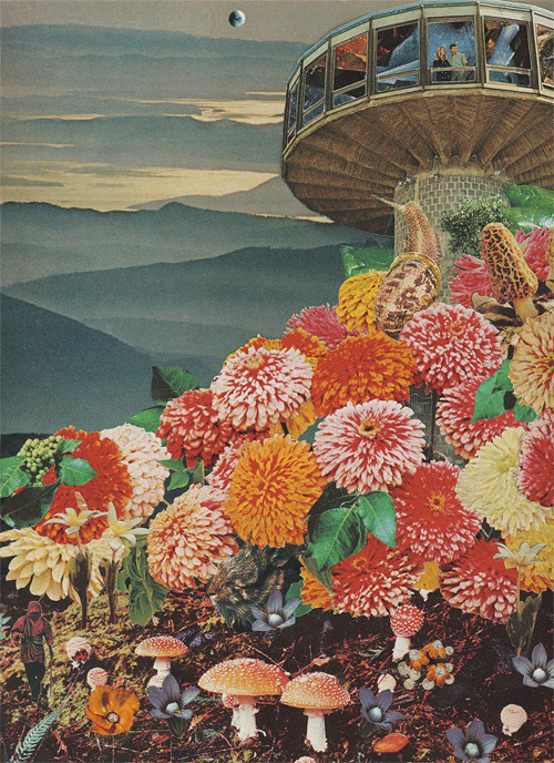 marahoffman:‘Fruits of Our Youth’ by Alana Questell, paper collage, 2013
