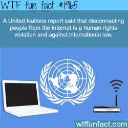 wtf-fun-factss:  United Nations and Internet