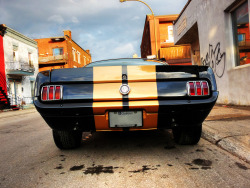 automotivated:  Ford Mustang (by zzmozart)