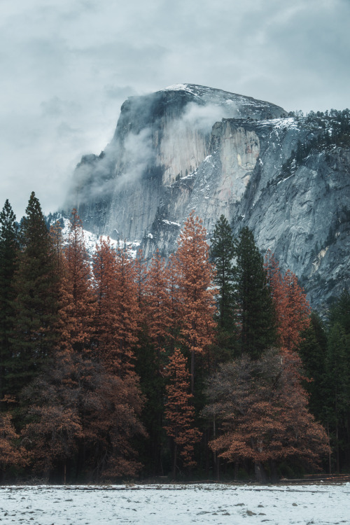Half Dome, Yosemite Valley.