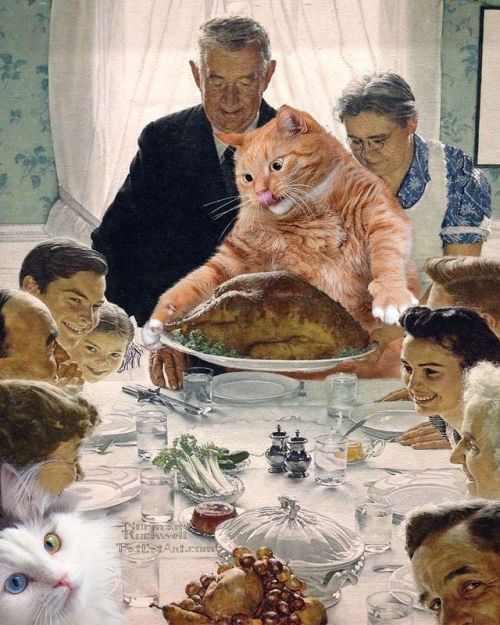 fatcatartru:Norman Rockwell, Freedom from Want: the Turkey tand the CatHappy Thanksgiving, dear Amer