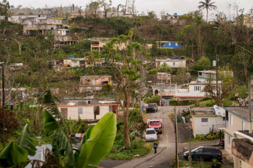 npr:Need Help In Puerto Rico? Here’s $100The extra money could make a significant dent for a family 