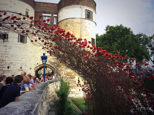 asylum-art:  Paul Cummins: 888,246 Ceramic Poppies Flow Like Blood from the Tower of London to Commemorate WWIt  The moat that surrounds the Tower of London has long stood empty and dry. This summer, it’s getting filled with 888,246 red ceramic poppies,