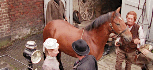 tisnotmydivison:do those horses know that’s jeremy brett I&rsquo;ve been watching Granada 
