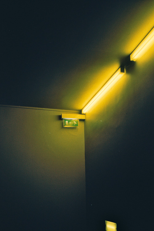 dredfam: (via yellow light | Flickr - Photo Sharing!)