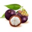 mangosteen1013