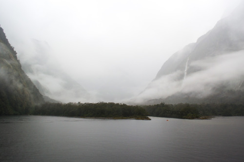 Misty valley at Milford Sound.Milford Sound, Fiordland, South Island, New Zealand