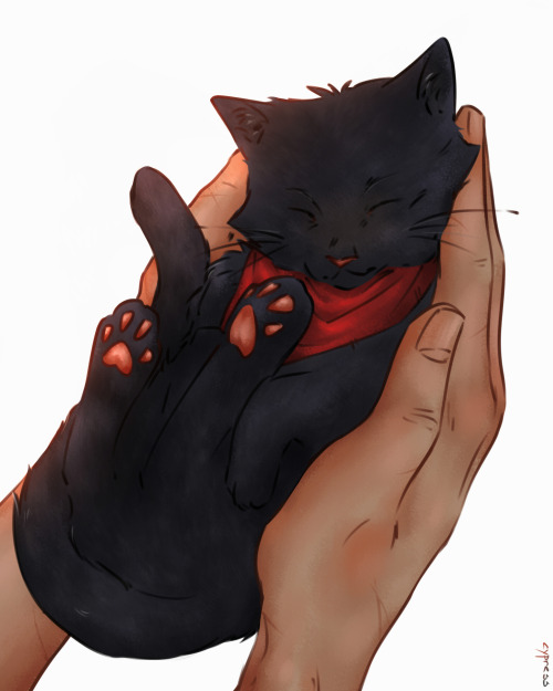 cypress-ess:au where merlin is turned into a kitten is the best thing that ever happened to this fan