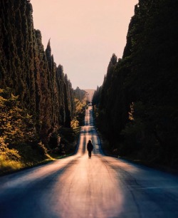 igitalia:  📷 @r.william.c 📍#Bolgheri ⠀ Nell’entroterra della Costa degli Etruschi, a meno di 10 km dal mare, vi attende il piccolo prezioso borgo di Bolgheri. Arrivateci percorrendo il famoso Viale dei Cipressi, un dritto viale costeggiato da