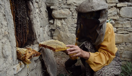 365filmsbyauroranocte: Honeyland (Tamara Kotevska &amp; Ljubomir Stefanov, 2019)