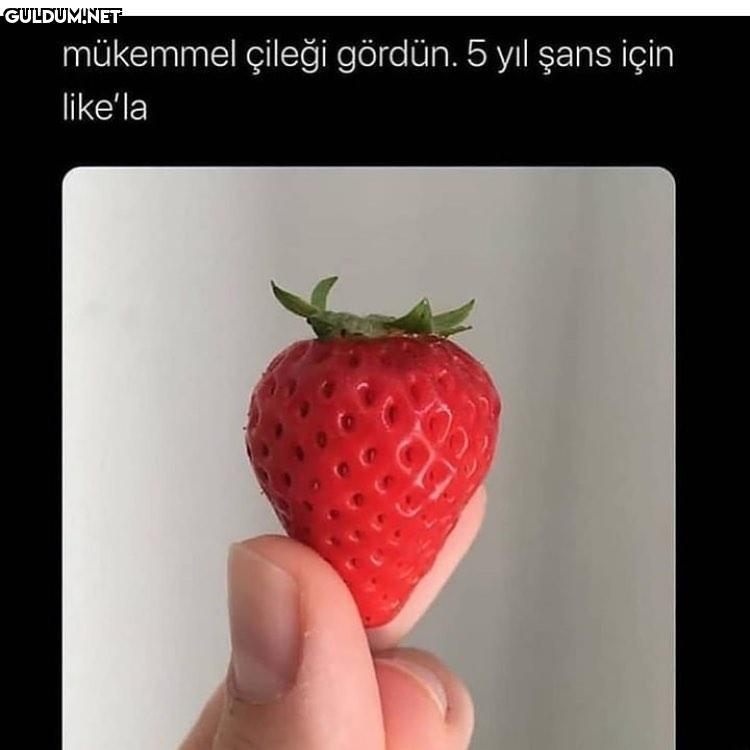 seri like mükemmel çileği...