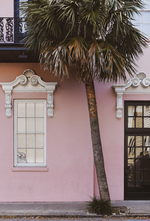 Charleston Facades