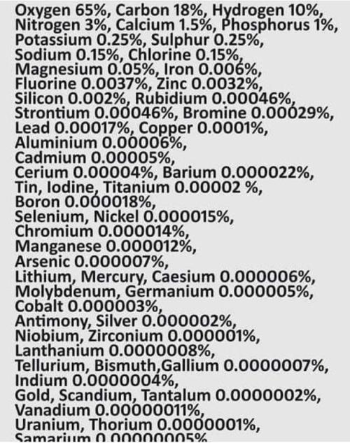 Ingredient List Of The Human Body