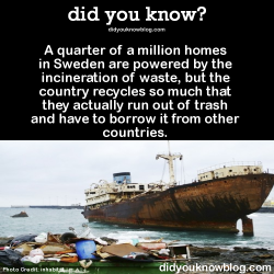 did-you-kno:  A quarter of a million homes in Sweden are powered by the incineration of waste, but the country recycles so much that they actually run out of trash and have to borrow it from other countries.   Source