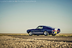 musclecarblog:  67GT500RearQuarter by Lunchbox PhotoWorks on Flickr.