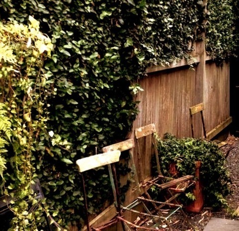 Transitional LandscapeImage Shows A Sizable Gravel Garden Walk In Full Sun In The Backyard.