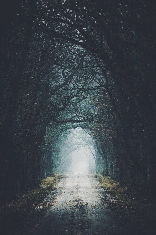 fresh-mind-fresh-day:    I find hope in the darkest of days, and focus in the brightest.