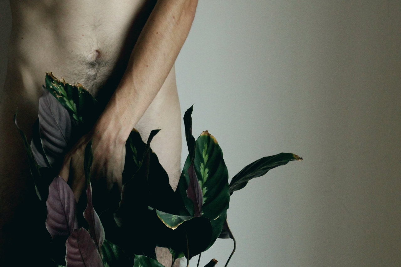 plain-and-pale:  Gentle touch, August, 2015 