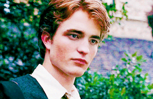 wilson-bethel: Cedric Diggory was, as you all know, exceptionally hard working, infinitely fair-mind