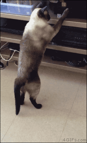 4gifs:  Counterattack! [video] 
