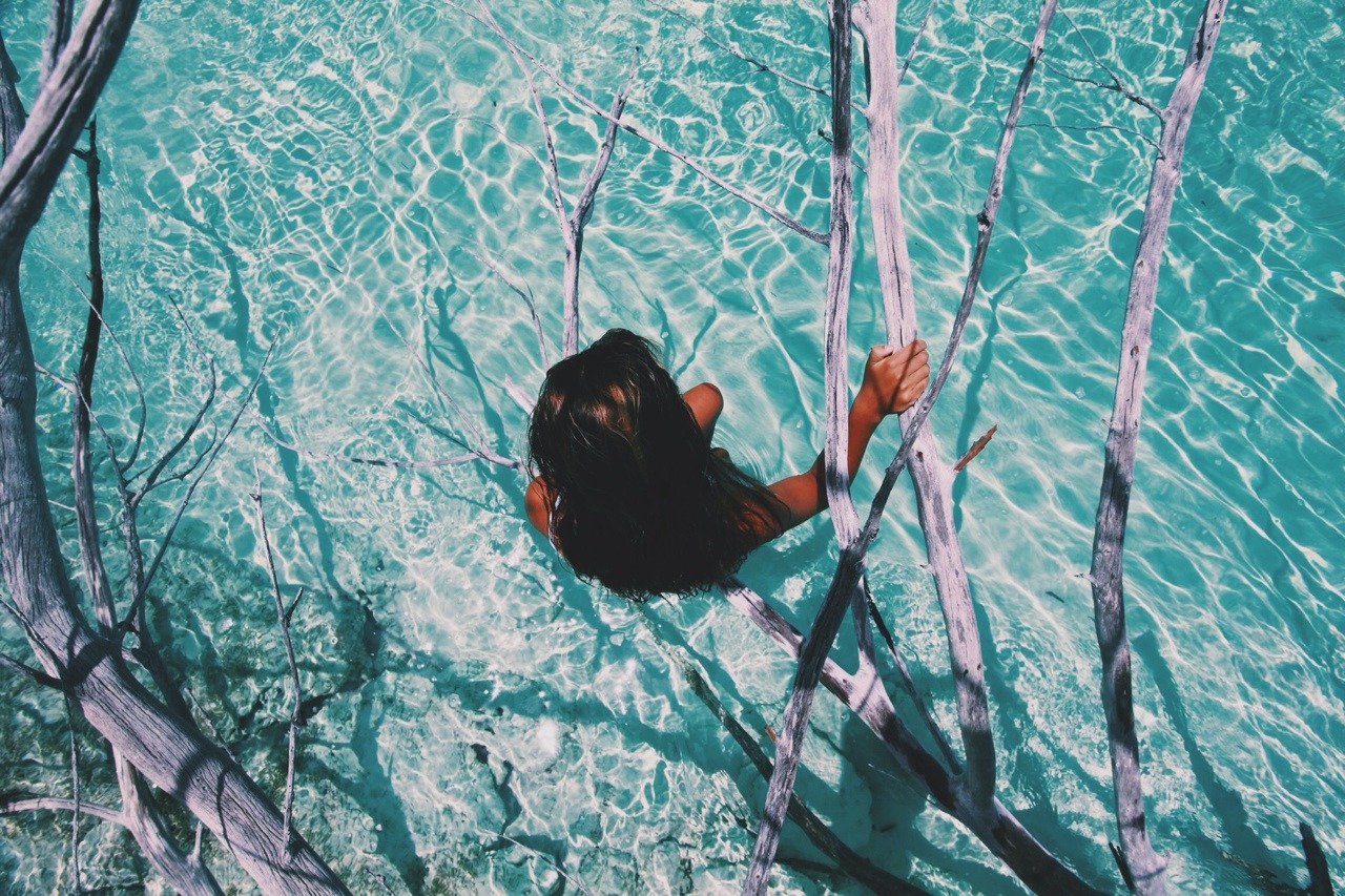 jayalvarrez:  Sitting above the dead tree’s in the crystal blue water.. By jayalvarrez