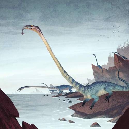 man-creates-dinosaurs: Random prehistoric creatures by Johan Egerkrans. From his books “Fö