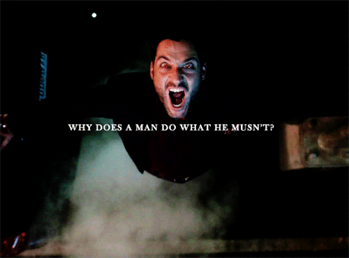 haleydunphys:So everything’s okay, right? Can we rest now? Can we rest?