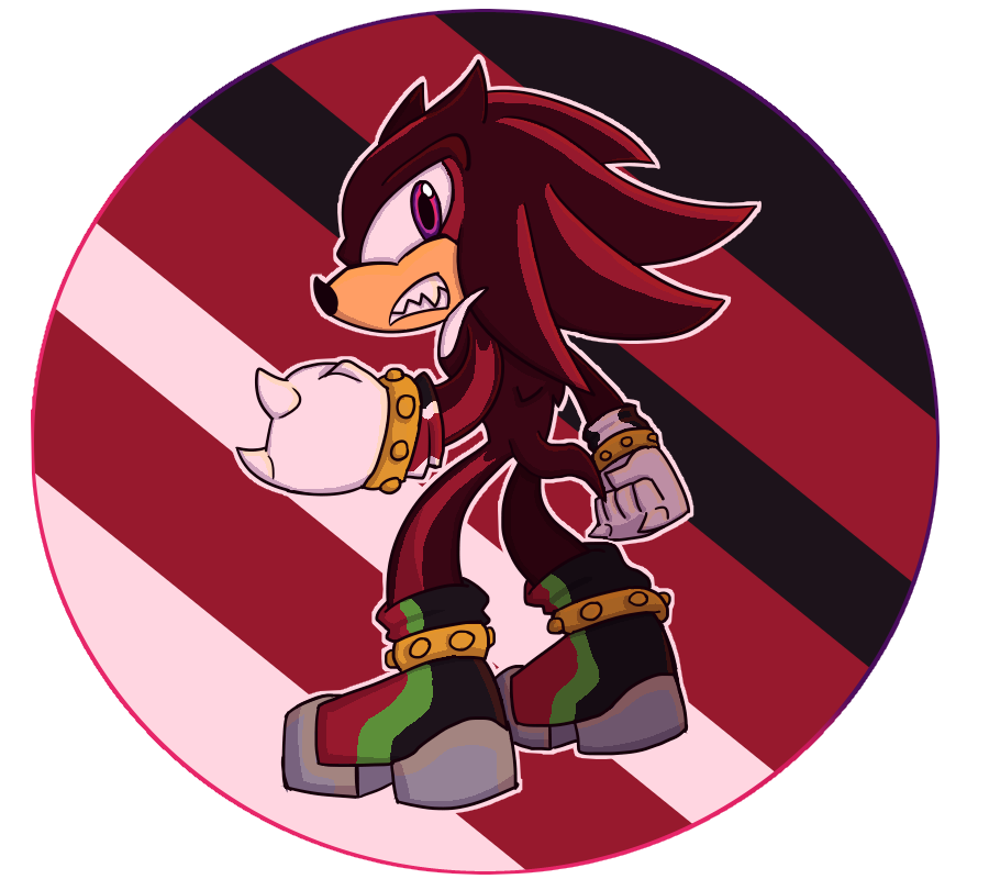 Since I'm the fusion of Shadow and the fake hedgehog, I guess that