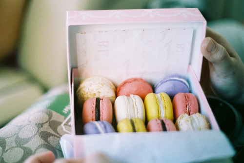 adorus:030406-R1-10-24 by Bonnie K Orozco photography on Flickr.