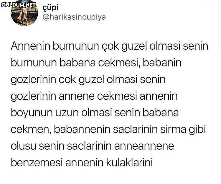 çüpi @harikasincupiya...